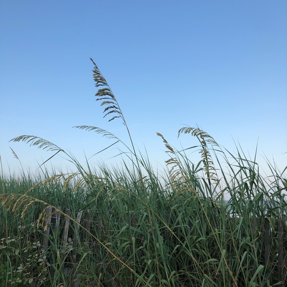 Meet your Posher, Taylor - Picture 8 of 9